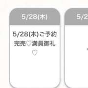 ヒメ日記 2026/05/28 13:10 投稿 まい★SS級美女元地方局アナ★ Bell～S級美女お姉様・人妻デリヘル～