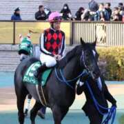 ヒメ日記 2026/03/21 23:30 投稿 みどり 川崎・東横人妻城