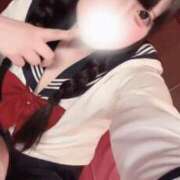 ヒメ日記 2026/07/11 08:11 投稿 みみ アロー