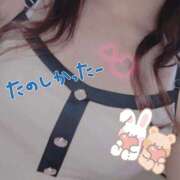 ヒメ日記 2026/04/13 05:20 投稿 新人 優良(ゆら) エッチな熟女(広島)