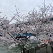 ヒメ日記 2026/04/12 16:03 投稿 れい 綺麗＆kirei