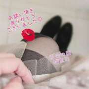 ヒメ日記 2026/04/15 23:51 投稿 瑠里乃(るりの) 人妻出逢い会 百合の園 山の手本店