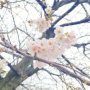 ヒメ日記 2026/03/25 19:15 投稿 ひろこ 奥鉄オクテツ東京店（デリヘル市場）