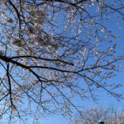 ヒメ日記 2026/04/02 18:00 投稿 ひろこ 奥鉄オクテツ東京店（デリヘル市場）