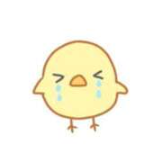 有村せな 本日お休みします 華椿