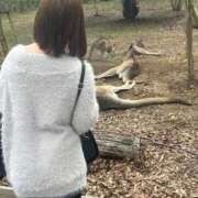 ヒメ日記 2026/04/04 11:30 投稿 ふう Beppin house