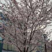 ヒメ日記 2026/03/27 17:47 投稿 西尾★ プリマドンナ