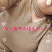 ヒメ日記 2026/03/31 20:40 投稿 西尾★ プリマドンナ