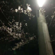 ヒメ日記 2026/03/31 07:52 投稿 ましろ ライラック