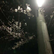 ヒメ日記 2026/03/31 08:02 投稿 ましろ DANKAN（ダンカン）