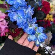 ヒメ日記 2026/04/01 22:12 投稿 ★七七五あゆむ★ CLUB39（クラブサンキュー）