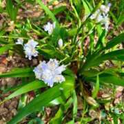 ヒメ日記 2026/04/07 23:02 投稿 ★七七五あゆむ★ CLUB39（クラブサンキュー）