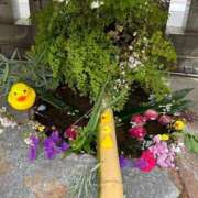 ヒメ日記 2025/03/31 21:07 投稿 北川 華恋人(カレント)