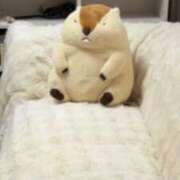 ヒメ日記 2026/04/06 13:56 投稿 りゆん ぽっちゃり巨乳素人専門 埼玉越谷ちゃんこ