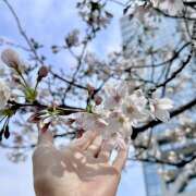 ヒメ日記 2026/04/02 20:09 投稿 浅見 凛 イマジン東京