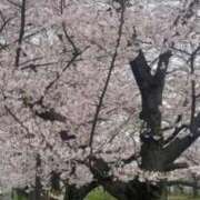 白馬かいら おはよう！！ THE痴漢電車.com