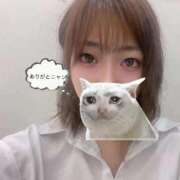 ヒメ日記 2026/04/11 11:03 投稿 白馬かいら THE痴漢電車.com