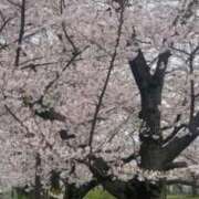 ヒメ日記 2026/04/04 09:32 投稿 大波かいら 全裸美女からのカゲキな誘惑