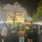 ヒメ日記 2026/04/01 06:56 投稿 れいな パンスト熟女はいやらしい