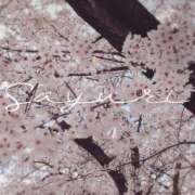 ヒメ日記 2026/04/02 11:50 投稿 さゆり ミセス クリエーション