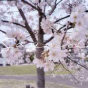 ヒメ日記 2026/04/12 15:40 投稿 さゆり ミセス クリエーション
