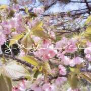 ヒメ日記 2026/05/11 11:45 投稿 さゆり ミセス クリエーション