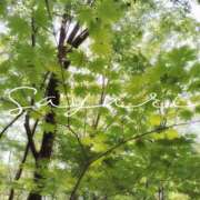 ヒメ日記 2026/05/20 11:45 投稿 さゆり ミセス クリエーション