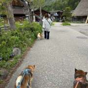 ヒメ日記 2026/03/26 08:41 投稿 こころ エマニエル秋葉原