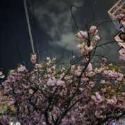 ヒメ日記 2026/04/13 16:56 投稿 りのか ぽっちゃり巨乳素人専門横浜関内伊勢佐木町ちゃんこ