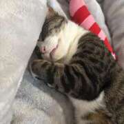 ここはまさに乳のパラダイスだ！ 次回案内21:10頃〜💜 グッドスマイル