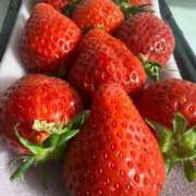 中条詩帆 イチゴ🍓♡ お姉さんCLUB