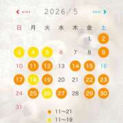 ヒメ日記 2026/04/20 11:15 投稿 さやか EXE（エグゼ）
