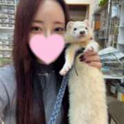 さやか 💛5月の出勤予定💛 EXE（エグゼ）