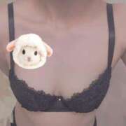 棚橋 しおり Tさんへお礼です🧸💌 Men's relaxation VEGA
