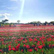 ヒメ日記 2026/04/08 16:52 投稿 ぴんく スピードエコ難波店