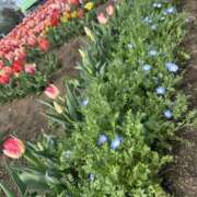 ヒメ日記 2026/04/08 19:12 投稿 ぴんく スピードエコ難波店