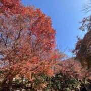 ヒメ日記 2026/04/11 14:28 投稿 ぴんく スピードエコ難波店