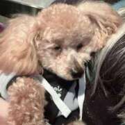 ヒメ日記 2026/03/29 09:45 投稿 アクア The White