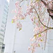 ヒメ日記 2026/03/30 16:12 投稿 ゆら エンジェルシリカ