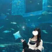 ヒメ日記 2026/10/09 19:36 投稿 菜々美(ななみ) グランドオペラ東京