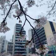 ヒメ日記 2026/04/04 23:38 投稿 美里 出会い系人妻ネットワーク 上野〜大塚編