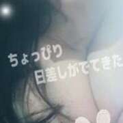 ヒメ日記 2026/03/25 07:07 投稿 いちじょう 丸妻 厚木店