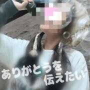 ヒメ日記 2026/04/13 10:10 投稿 いちじょう 丸妻 厚木店