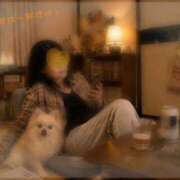 ヒメ日記 2026/06/11 22:13 投稿 いちじょう モアグループ丸妻厚木店