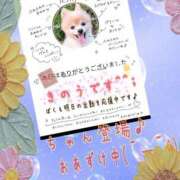 ヒメ日記 2026/06/27 13:26 投稿 いちじょう モアグループ丸妻厚木店