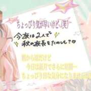 ヒメ日記 2026/09/11 08:09 投稿 いちじょう モアグループ丸妻厚木店