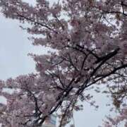 ヒメ日記 2026/04/07 07:47 投稿 えみり★ プリマドンナ