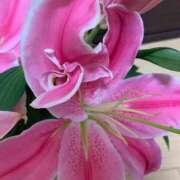 かりん はじめまして♪ 熟女総本店