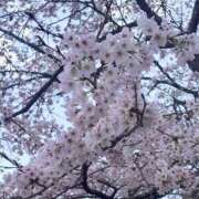 ありす 明日こそは( ‏߹𖥦߹ )💧 大阪ぽっちゃりマニア 谷九店