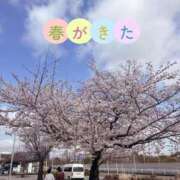 ヒメ日記 2026/03/28 10:33 投稿 翠(すい) 相模原人妻城